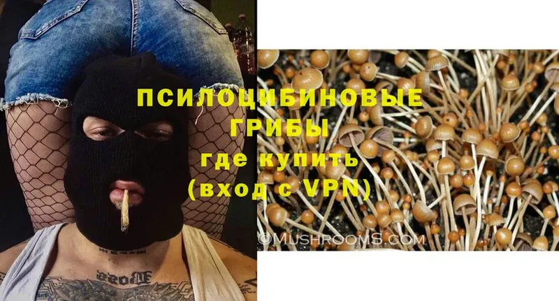 Псилоцибиновые грибы MAGIC MUSHROOMS  Ярославль 